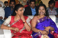 Maa Abbayi Movie Audio Launch
